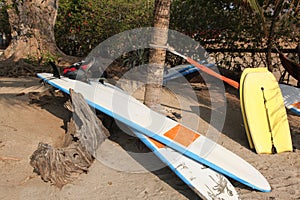 Surf Boards