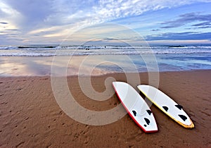 Surf boards lying on beach photo