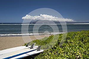 Surf boards lying on beach. Lahaina, Maui, Hawaii