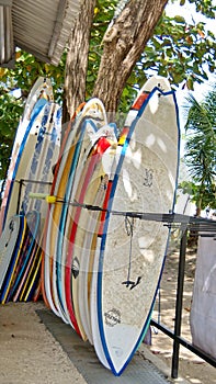 Surf boards in a rack