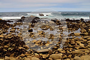 Surf Breaking Asilomar State Marine Reserve California