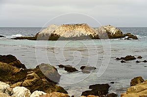 Surf Breaking Asilomar State Marine Reserve California