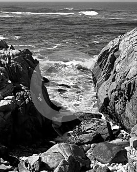 Surf Breaking Asilomar State Marine Reserve California Monochrome photo