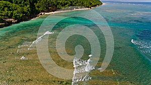 Surf coast on green bowl beach. Aerial view.