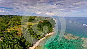 Surf coast on green bowl beach. Aerial view.