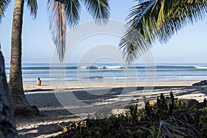 Surf destination. Beautiful beach with palm trees,