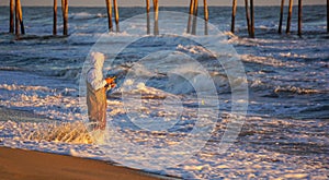 Surf Fishing Atlantic Ocean North Carolina