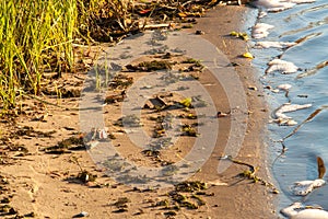 Surf on the river