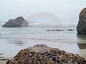 Surf Rolling in on a Rocky Beach