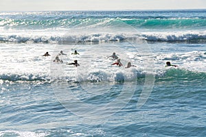 Surf school - several surfboarding students headed into an ocean