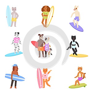 Surf vector cat dog animal surfer character surfing on surfboard illustration animalistic set of cartoon young sportsman