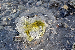 Crystallization of minerals