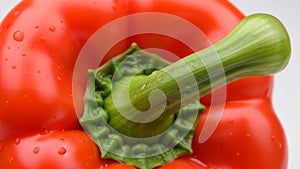 On the surface adding texture and freshness. The focus is on the upper