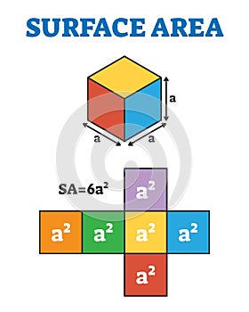 Surface area measurement example, flat vector illustration diagram