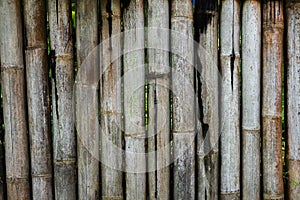 The surface of the bamboo board wall for the background.