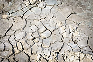 Surface of a barren ground textured background.