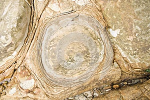 Surface of beach stone