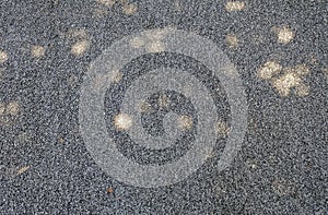 Surface cement floor abstract background, Concrete floor texture
