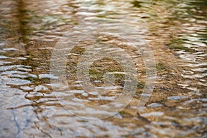 The surface of the clear water of a shallow mountain river, the bottom of which is overgrown with green algae or aquatic