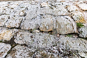 The surface of the cobblestones is covered with ice