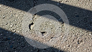 Surface displaying rough texture with scattered small stones