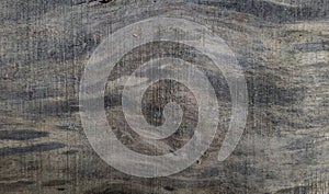 surface of dried wood board.