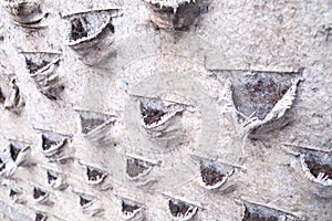 Surface of a dry vertical garden, under renovation, empty flowerpots