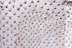 Surface of a dry vertical garden, under renovation, empty flowerpots