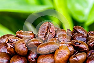 Surface of fresh coffee beans stock photos and images
