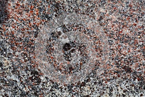 Surface of a gneiss rock