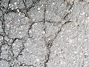 The surface of the gray asphalt with a cracks. Texture of old rough asphalt