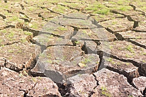 Surface of a grungy dry cracking parched