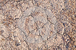 Surface of a grungy dry cracking parched earth for textural back