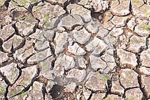 Surface of a grungy dry cracking parched