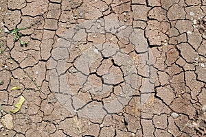 Surface of a grungy dry cracking parched earth