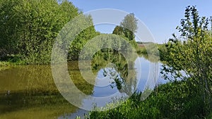 The surface of the lake with the reflection of trees in the water.