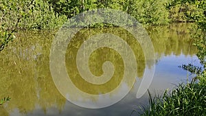 The surface of the lake with the reflection of trees in the water.