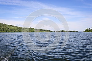 The surface of the lake water with ripples and waves against the background of wooded shores. Summer landscape