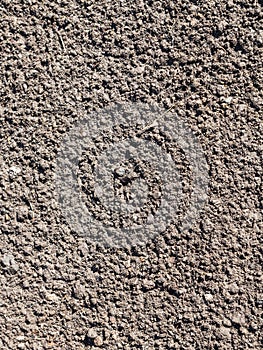 Surface of loosened soil with grass seeds