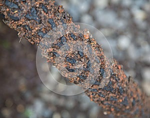 Surface of a mountain bike tire