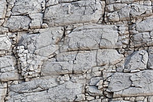 The surface of a nodular limestone