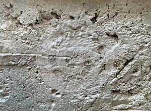 Surface of old cement plaster painted white.