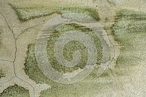 The surface of the old cement wall