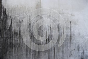Texture of old dirty concrete wall for background / White stucco wall background. White painted cement wall texture