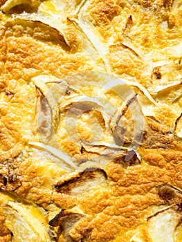 Surface of omelette with white squash vegetable