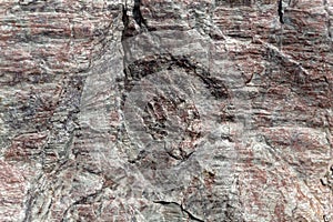 The surface of Phyllite schists of Proterozoic age