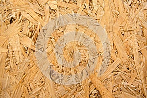 Surface plywood texture board for the background