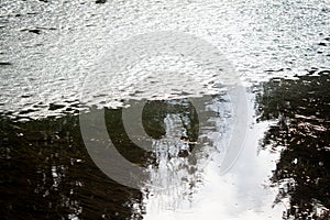 Surface of pond covered with melting ice