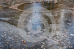 Surface of the pond is covered with thin layer of ice. First frosts in late autumn