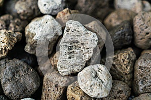 The surface of pumice stone